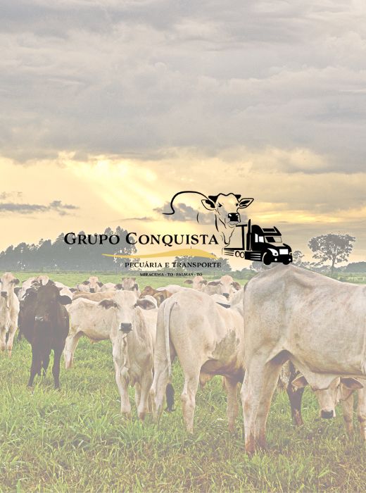 Grupo de Pecuaria e Transportes